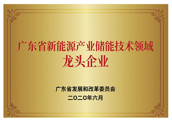 廣東省新能源產(chǎn)業(yè)儲能技術領域龍頭企業(yè)